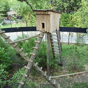 Trail of the Tiger - Red Panda/Demoiselle Crane Exhibit