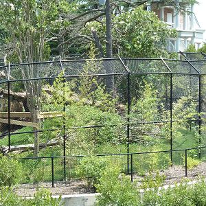 Trail of the Tiger - Sun Bear Exhibit