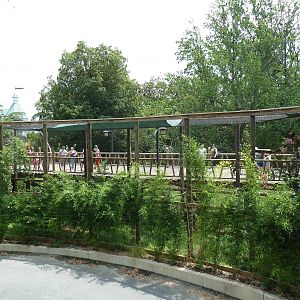 Trail of the Tiger - Rhinoceros Hornbill Exhibit (Back View)