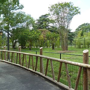 Trail of the Tiger - Malayan Tapir Exhibit