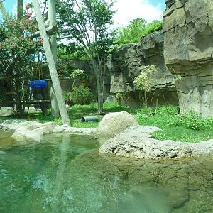 Trail of the Tiger - White-Cheeked Gibbon/Small-Clawed Otter Exhibit