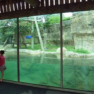 Trail of the Tiger - White-Cheeked Gibbon/Small-Clawed Otter Exhibit