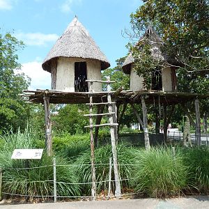 Okavango Delta - African Home