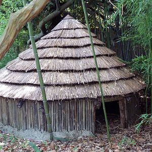 Okavango Delta - African Home