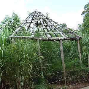 Okavango Delta - African Home