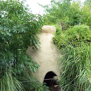 Okavango Delta - African Home