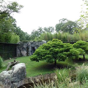 Okavango Delta - Mandrill Exhibit