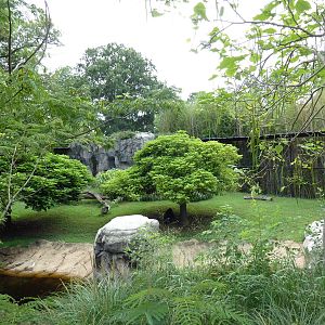 Okavango Delta - Mandrill Exhibit