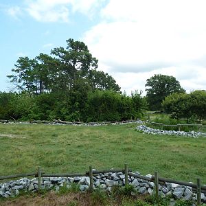Okavango Delta - Masai Giraffe/Ostrich/Southern Ground Hornbill Exhibit