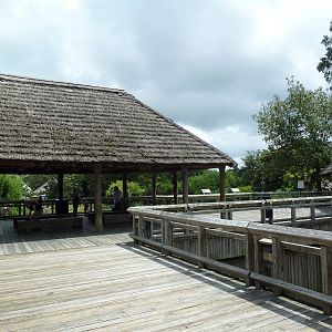 Okavango Delta - Visitor Boardwalk