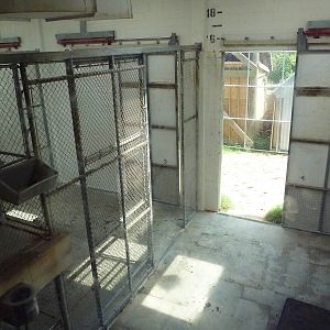 Okavango Delta - Giraffe Barn