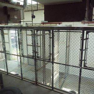 Okavango Delta - Giraffe Barn