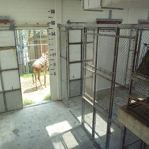 Okavango Delta - Giraffe Barn