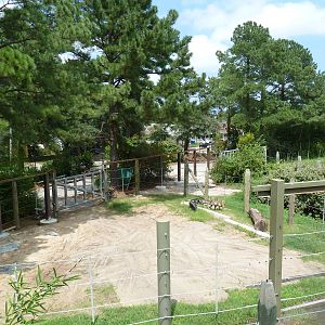 Okavango Delta - African Elephant Exhibit (Holding Yard)
