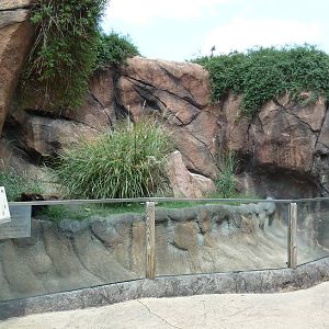 Okavango Delta - Meerkat Exhibit