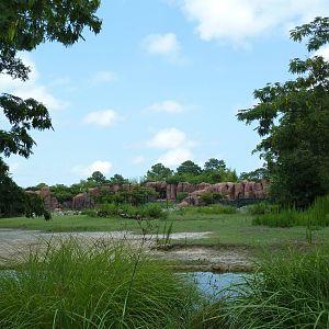 Okavango Delta - White Rhino/Grevy's Zebra Exhibit