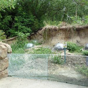 Prairie Dog Exhibit