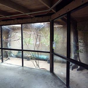 Small Animal Building - Squirrel Monkey Exhibit