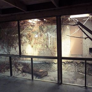 Small Animal Building - Goeldi's Monkey Exhibit