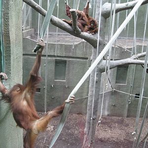 What a zoo should be about.