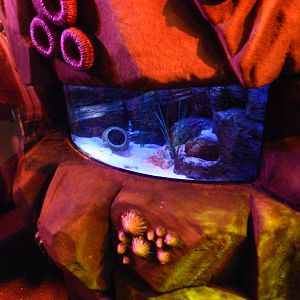 Octopus Tank at SEA LIFE Scarborough - 26/08/2012