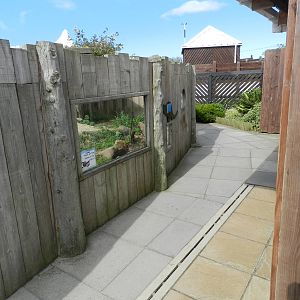 Otter Exhibit Viewing Windows at SEA LIFE Scarborough - 26/08/2012