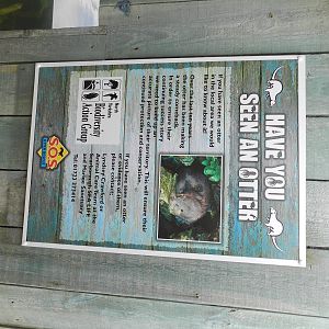 Otter Signage at SEA LIFE Scarborough - 26/08/2012