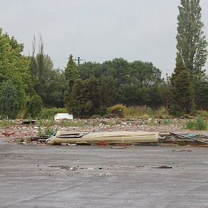 Remnants of the Palms