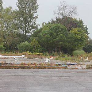 Remnants of the Palms