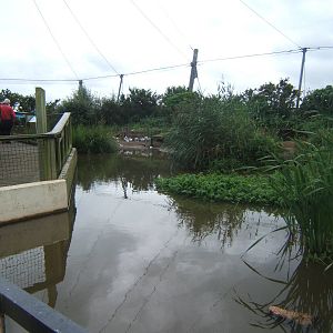 View of Wader Estuary