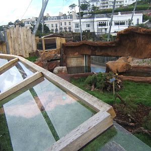 View of Otter enclosure