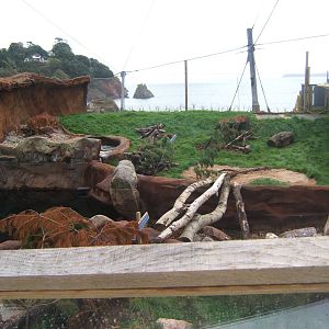 View of Otter enclosure