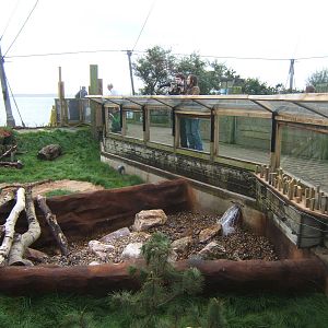 View of Otter enclosure