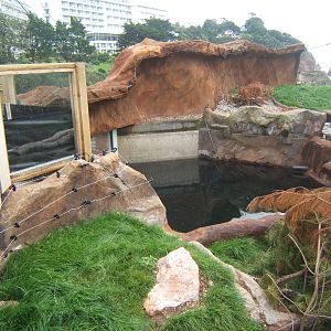 View of Otter enclosure