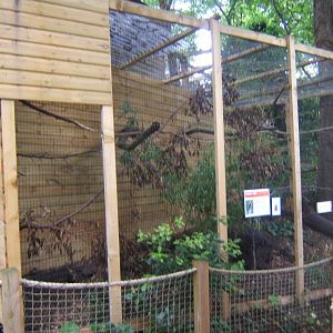 View of Dusky Lory Aviary