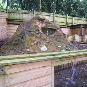View of Meerkat enclosure