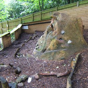 View of Meerkat enclosure
