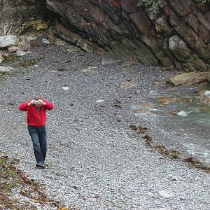 Zoochatter day out to the seaside