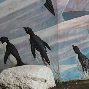 Adelie penguin graphic