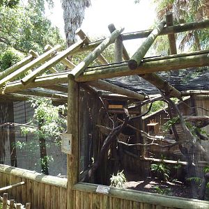 Plush-Crested Jay + Goeldi's Monkey Exhibits