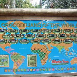 Crocodilians of the World Poster