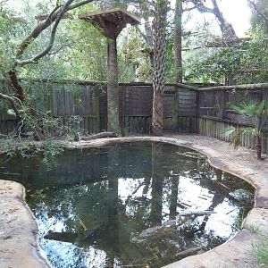 Morelet's Crocodile Exhibit