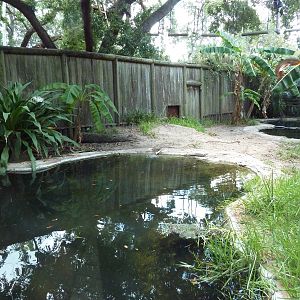 Orinoco Crocodile Exhibit