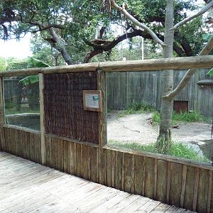Orinoco Crocodile Exhibit