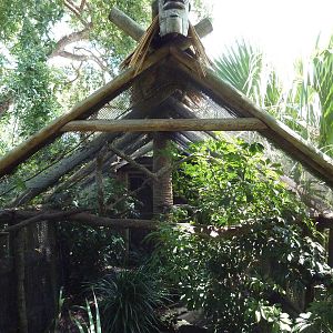 Pygmy Marmoset/Golden-Headed Lion Tamarin Exhibit