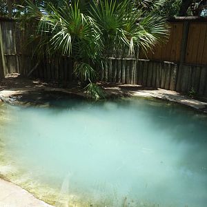 Siamese Crocodile Exhibit