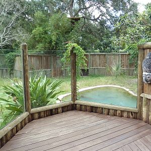 Mugger Crocodile Exhibit