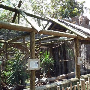 Geoffrey's Marmoset/Brazilian Agouti Exhibit