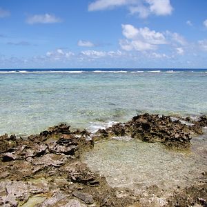 View of the reef