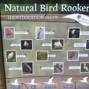 Wading Bird Rookery Sign